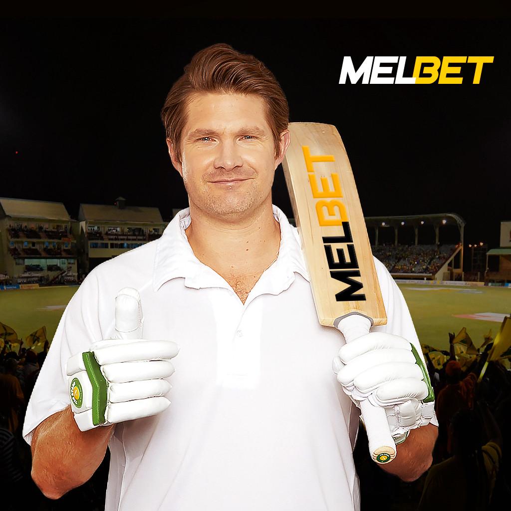 Shane Watson MELBET